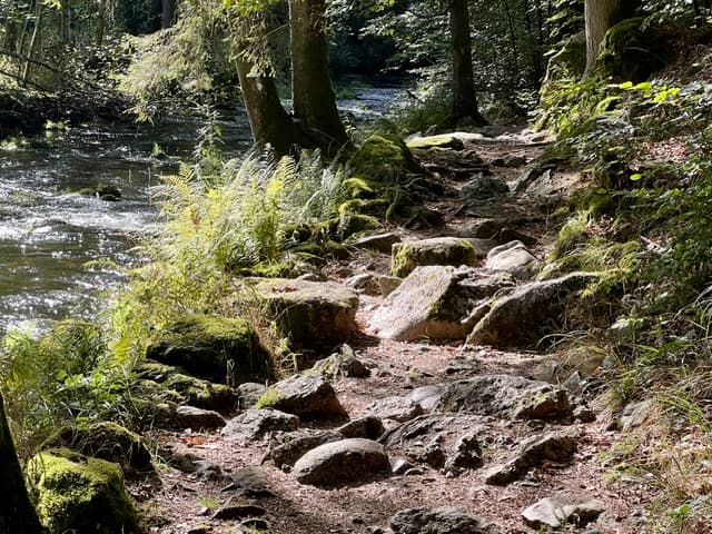 Steiniger Pfad entlang eines rauschenden Baches im Bayerischen Wald
