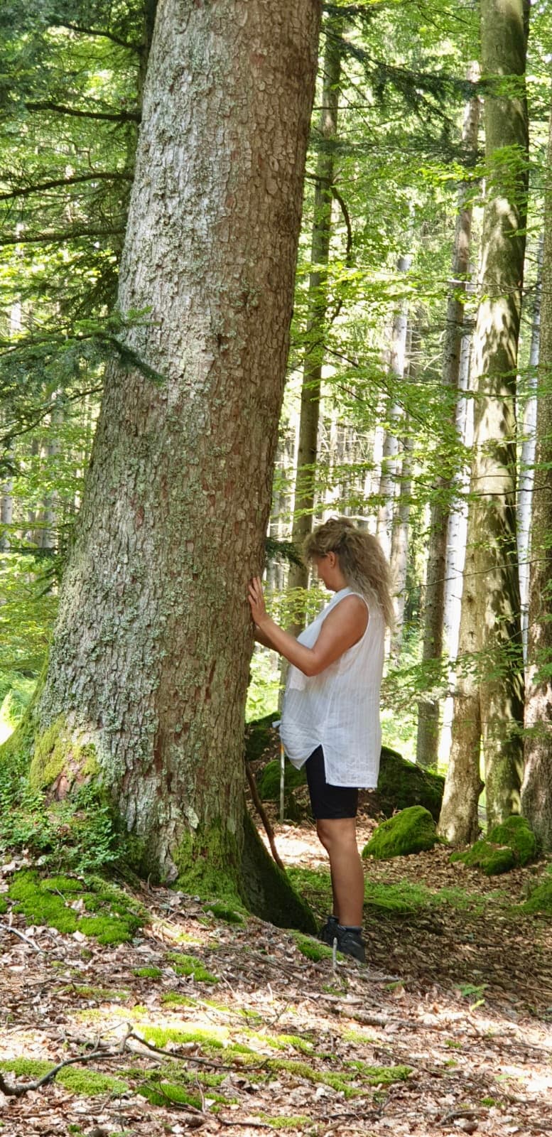 Bianca Thoma an einer mächtigen Fichte im Bayerischen Wald