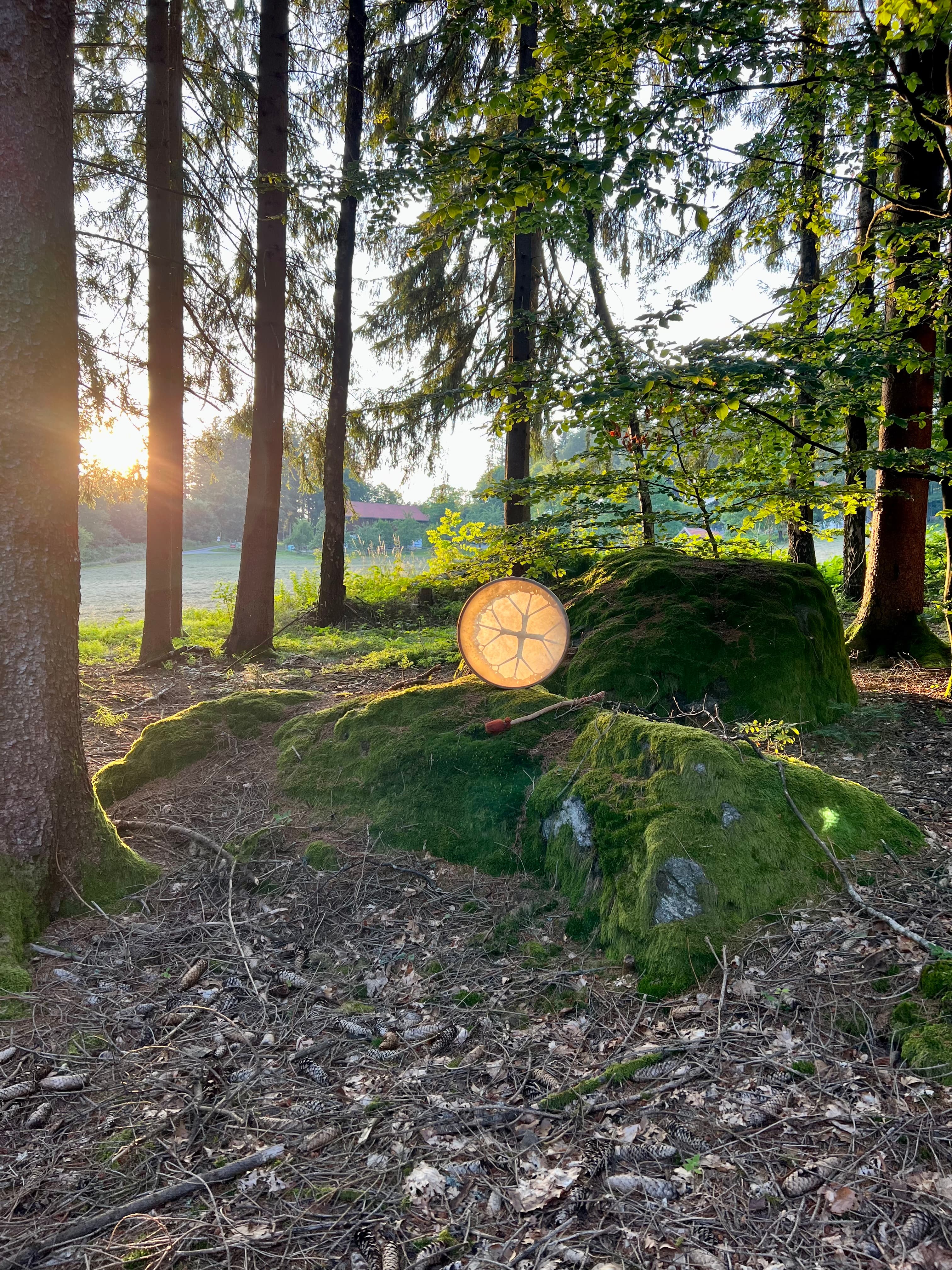 Waldbaden im Bayerischen Wald – Trommel auf bemoostem Fels im Abendlicht